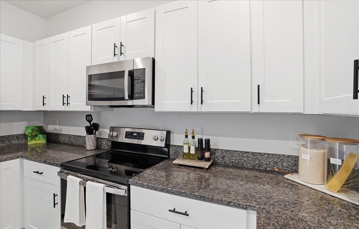 10336 TRUMPET HONEYSUCKLE WAY, SAN ANTONIO, FL, 33576