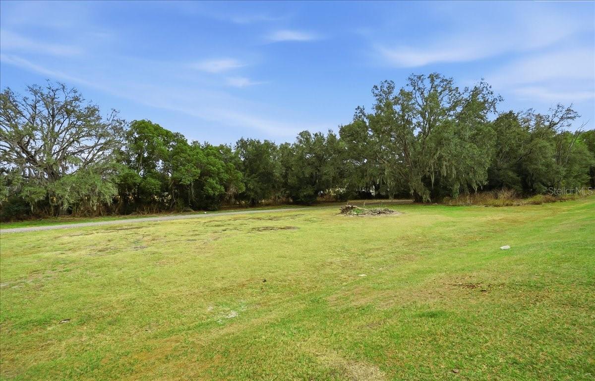 10336 TRUMPET HONEYSUCKLE WAY, SAN ANTONIO, FL, 33576