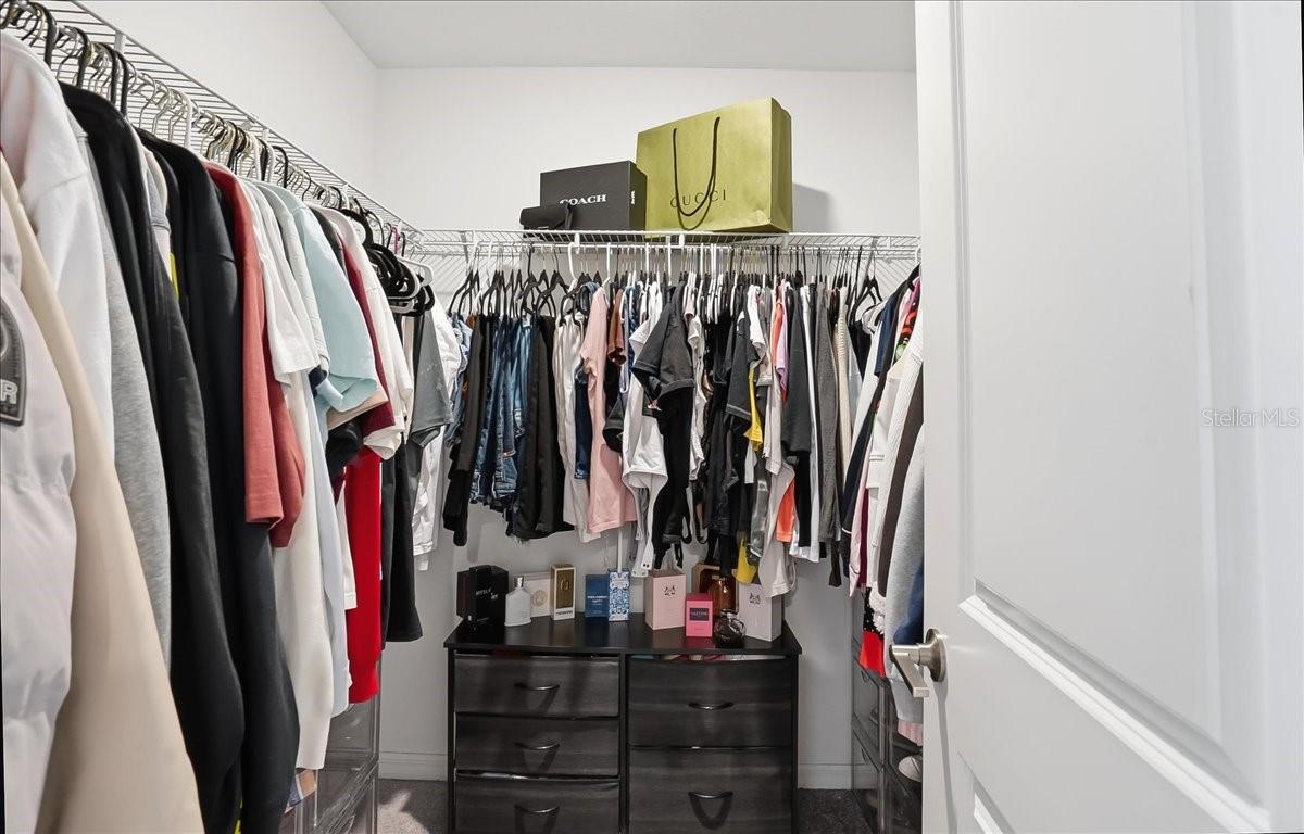 10336 TRUMPET HONEYSUCKLE WAY, SAN ANTONIO, FL, 33576