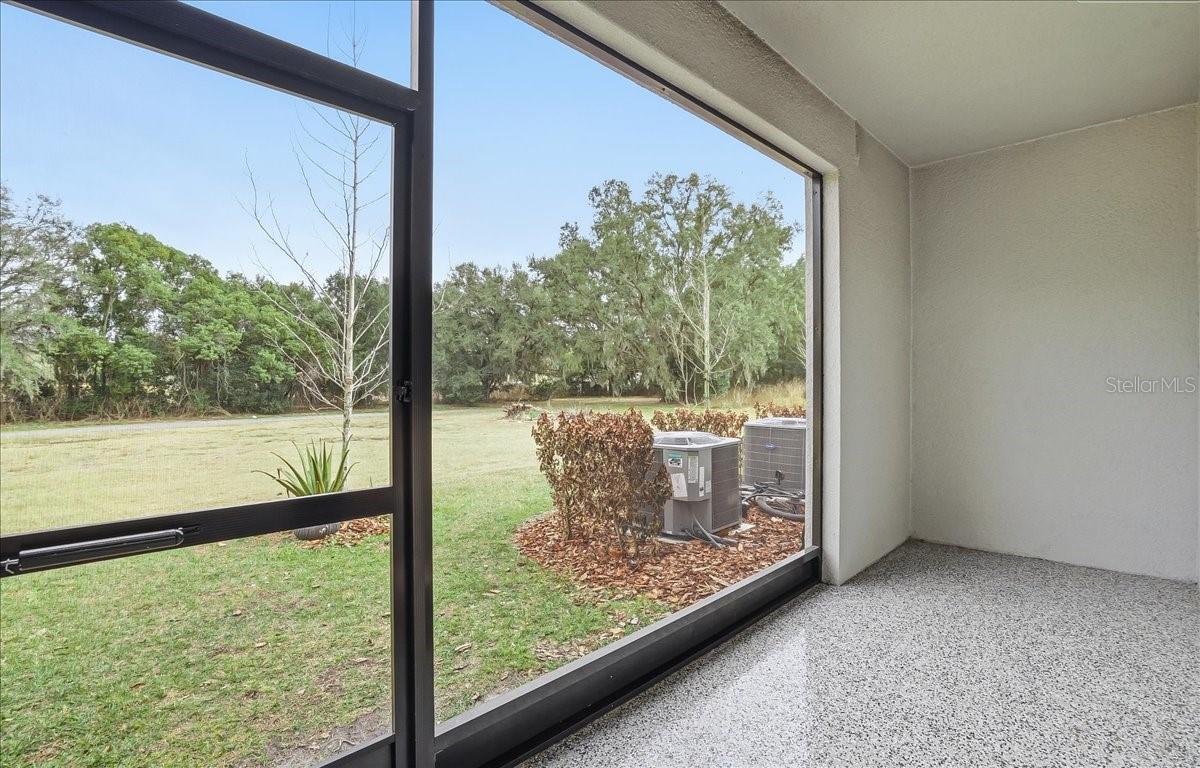 10336 TRUMPET HONEYSUCKLE WAY, SAN ANTONIO, FL, 33576