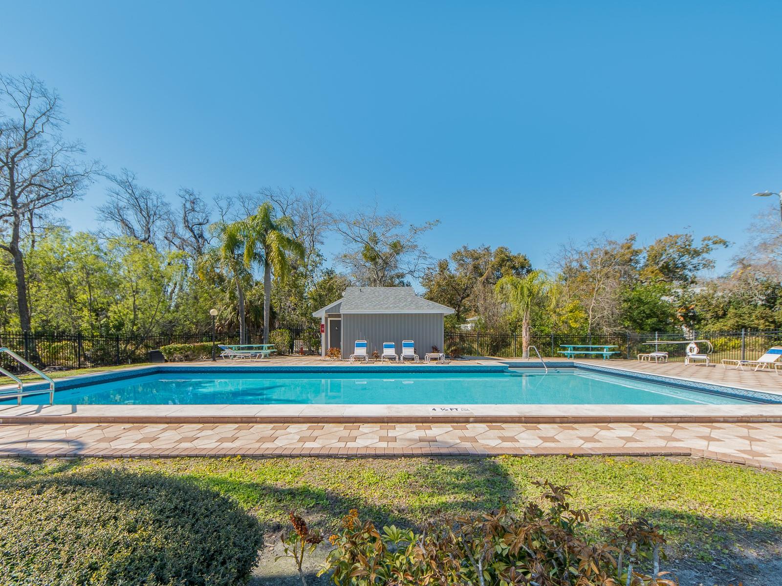 269 PETREA DR, PALM HARBOR, FL, 34684