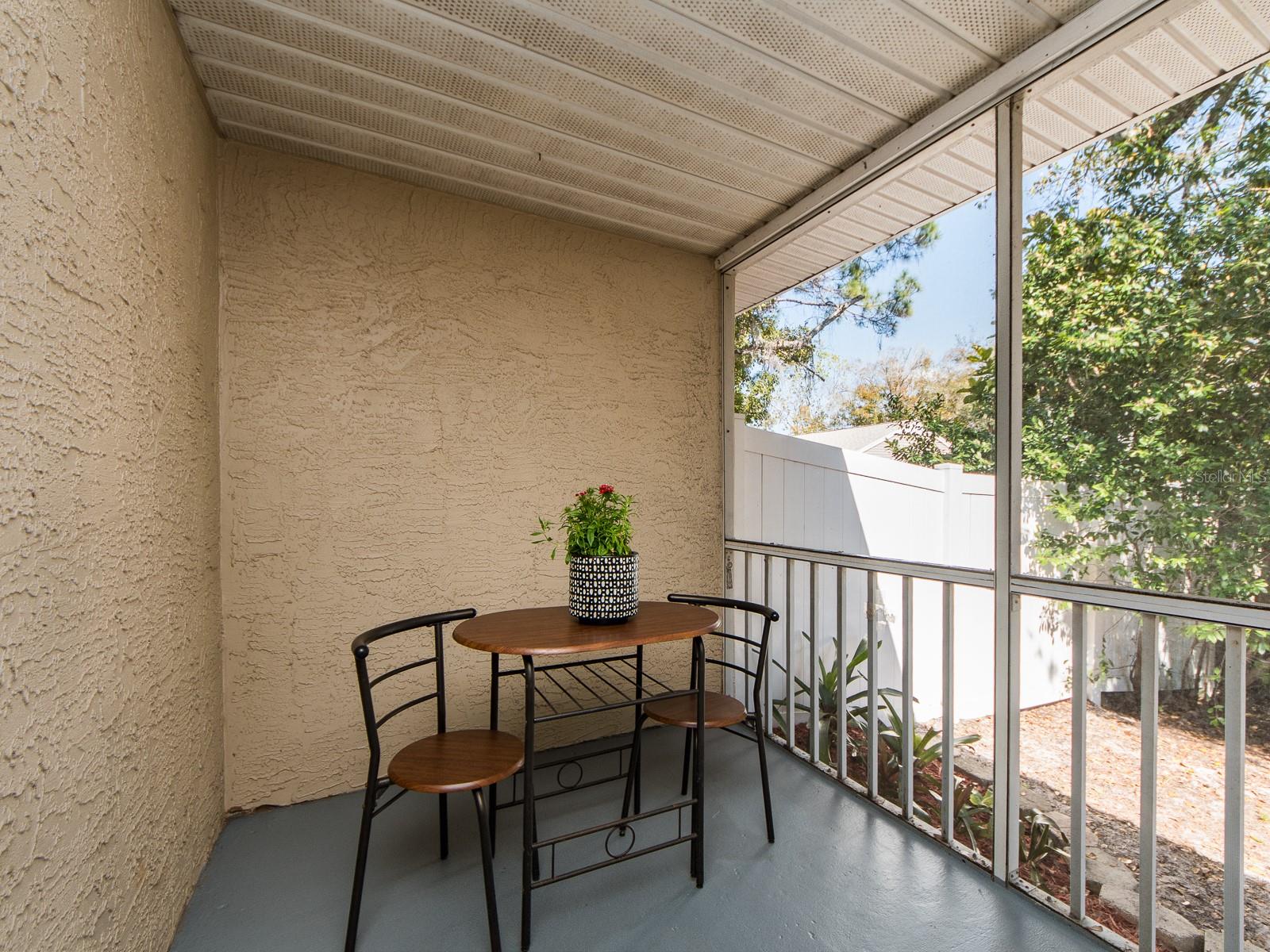 269 PETREA DR, PALM HARBOR, FL, 34684