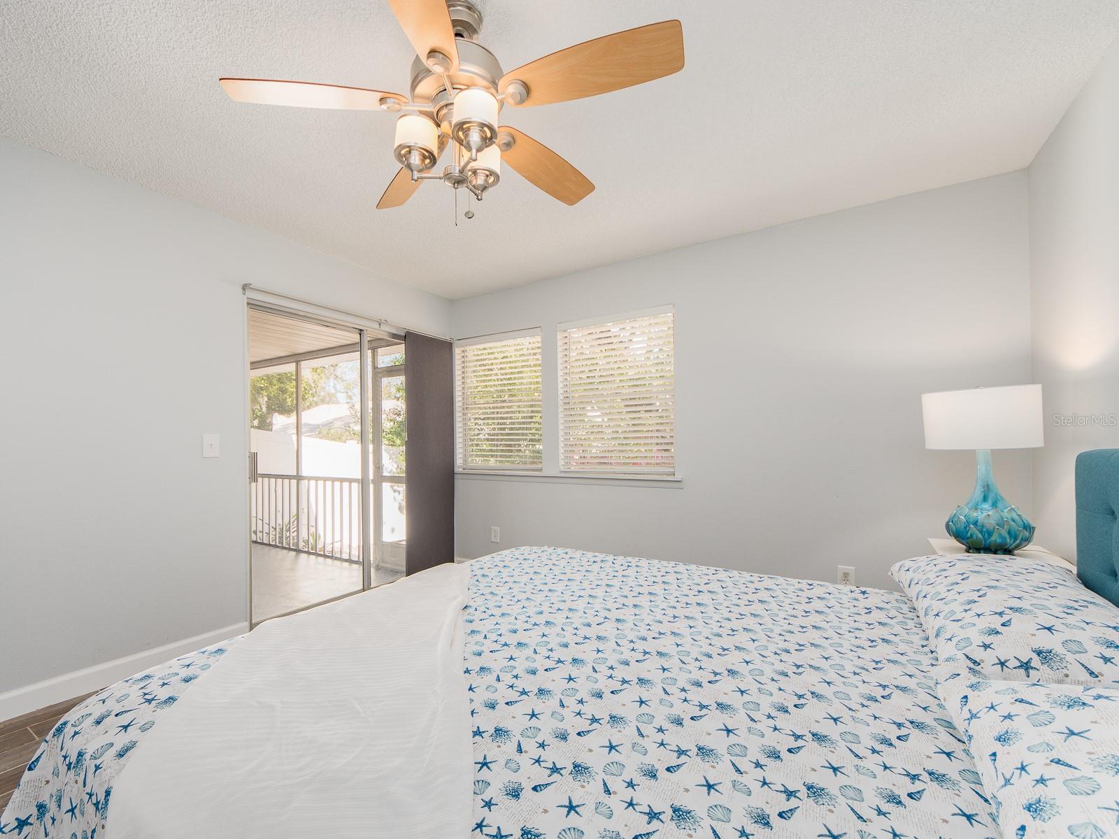 269 PETREA DR, PALM HARBOR, FL, 34684