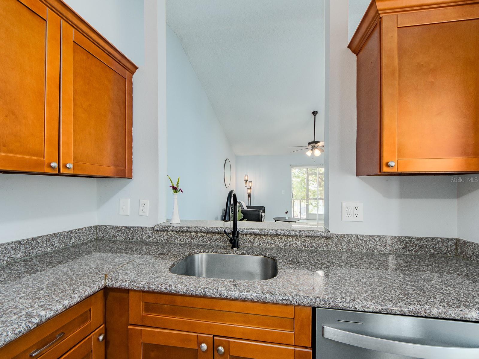 269 PETREA DR, PALM HARBOR, FL, 34684