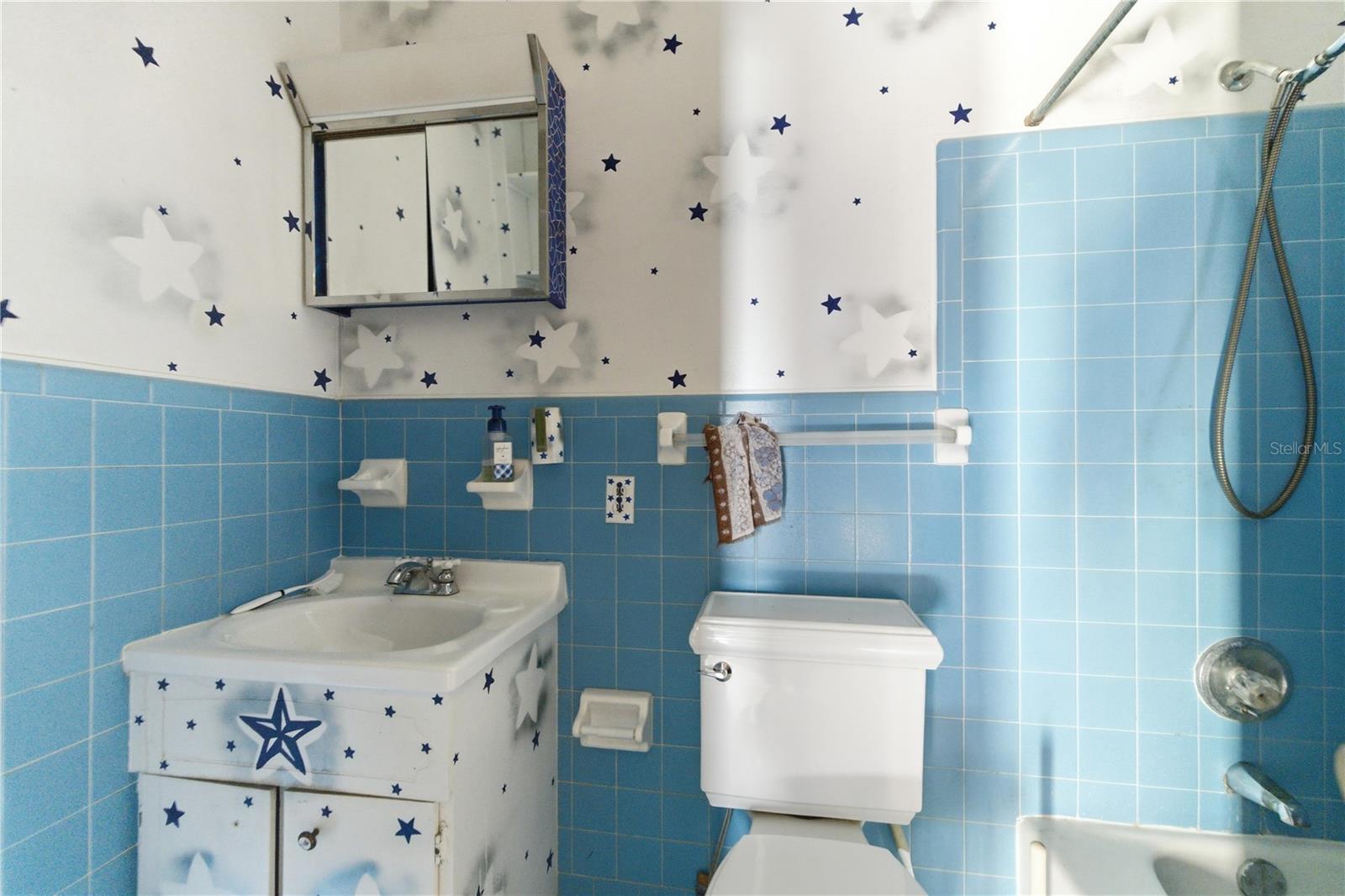 16420 SE 117TH AVE, WEIRSDALE, FL, 32195