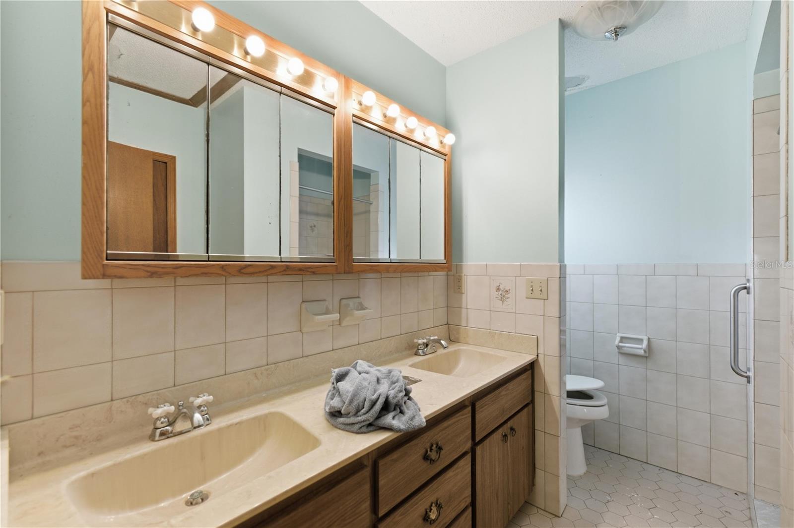 16420 SE 117TH AVE, WEIRSDALE, FL, 32195