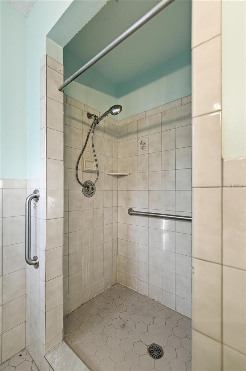 16420 SE 117TH AVE, WEIRSDALE, FL, 32195