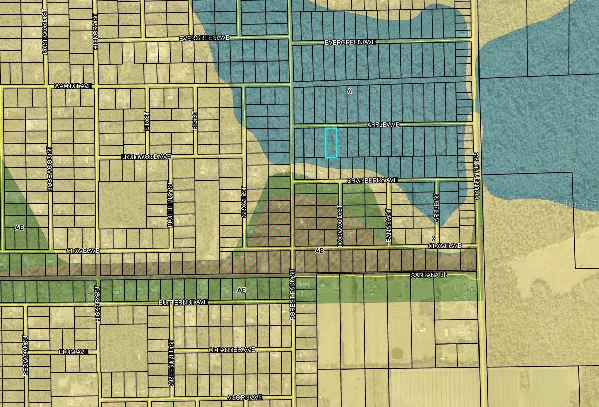 3853 APPLE AVE, BUNNELL, FL, 32110