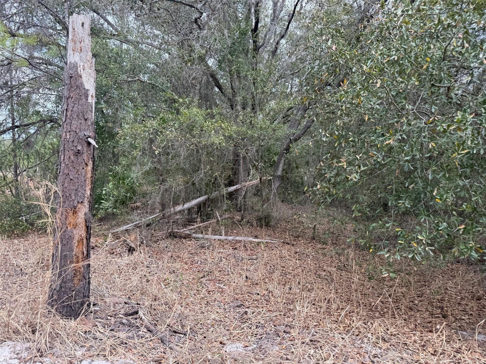 8309 N ODYSSEY DR, CRYSTAL RIVER, FL, 34428