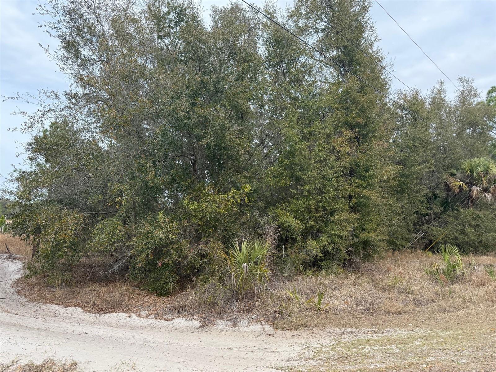 8309 N ODYSSEY DR, CRYSTAL RIVER, FL, 34428