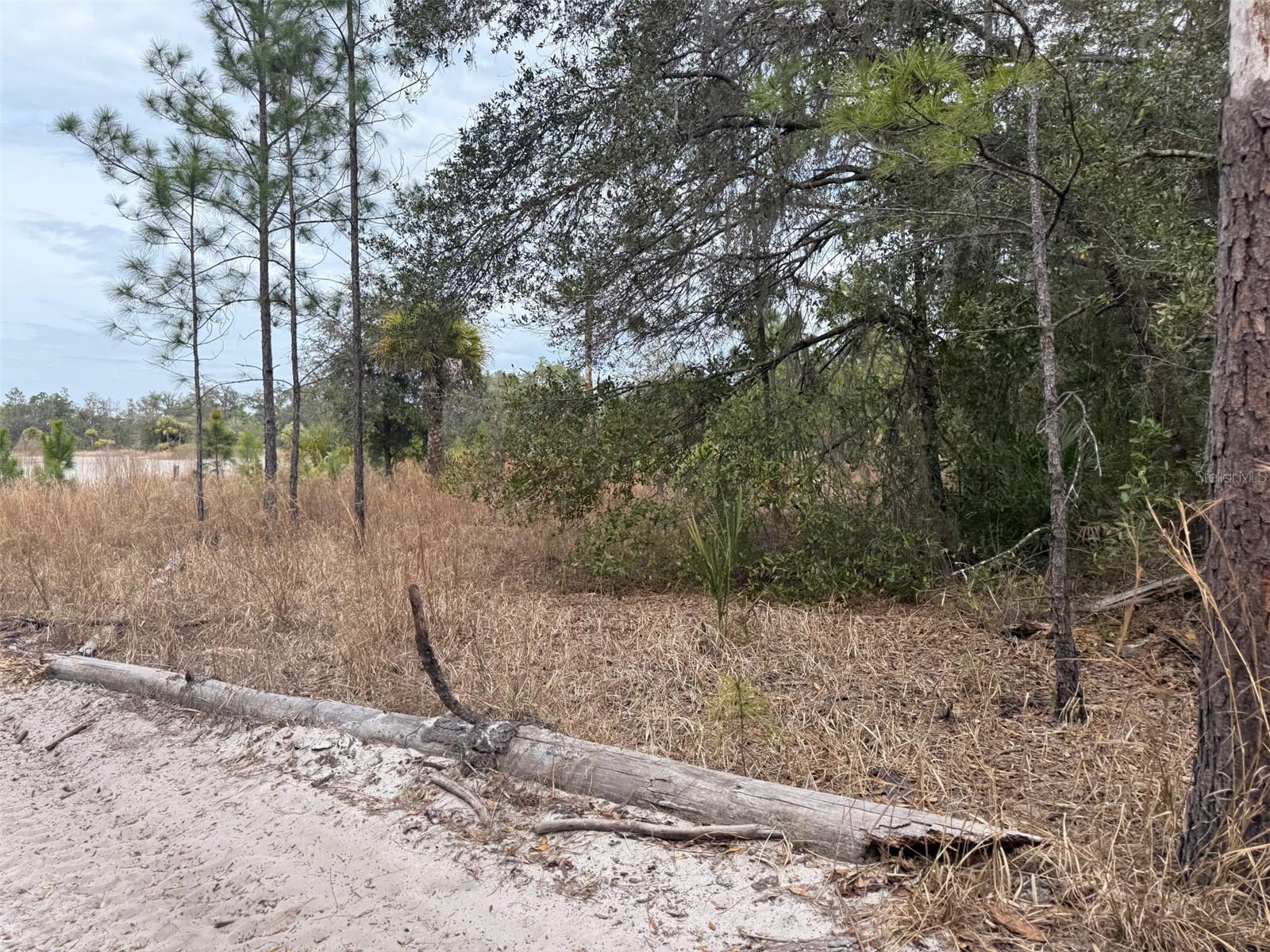 8309 N ODYSSEY DR, CRYSTAL RIVER, FL, 34428