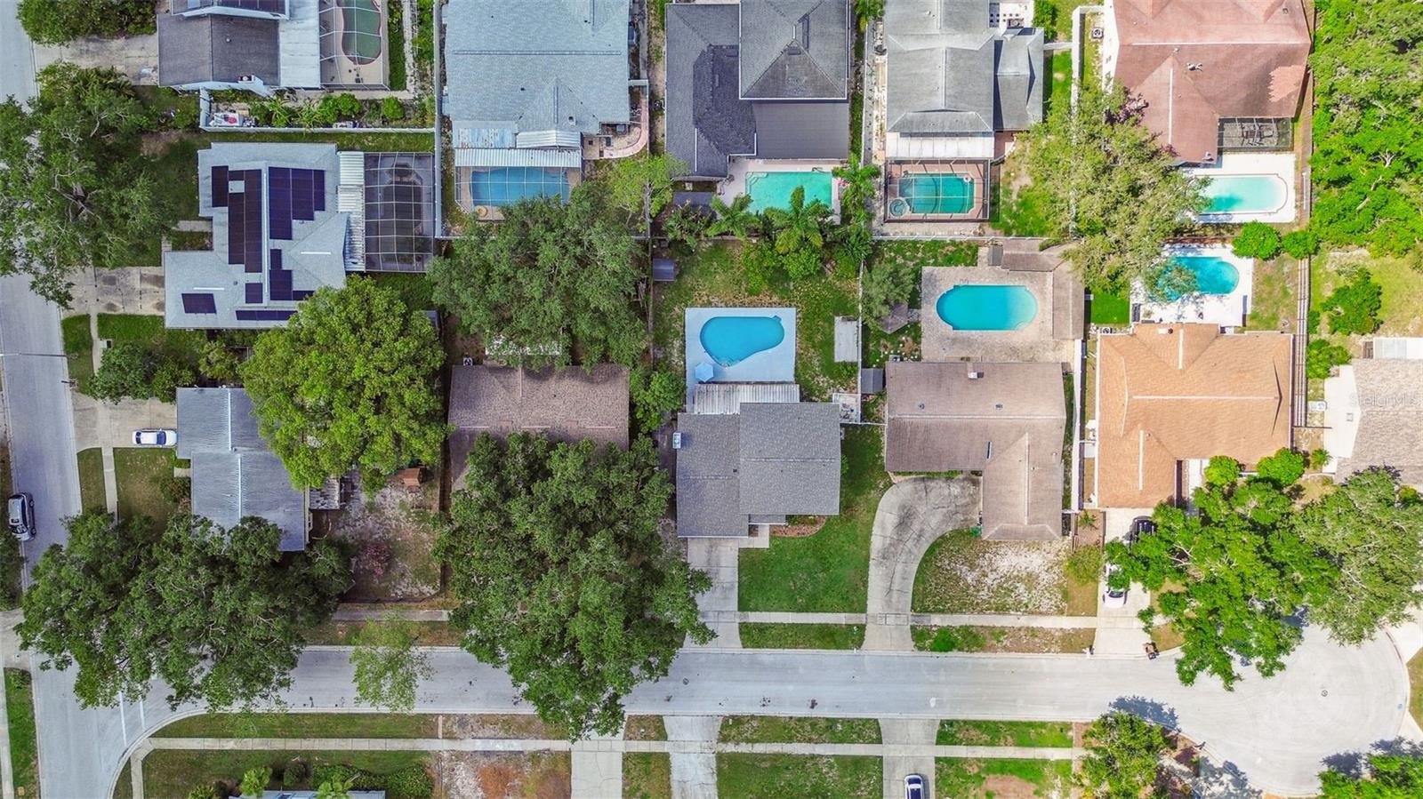 6107 OAK FERN CT, TEMPLE TERRACE, FL, 33617