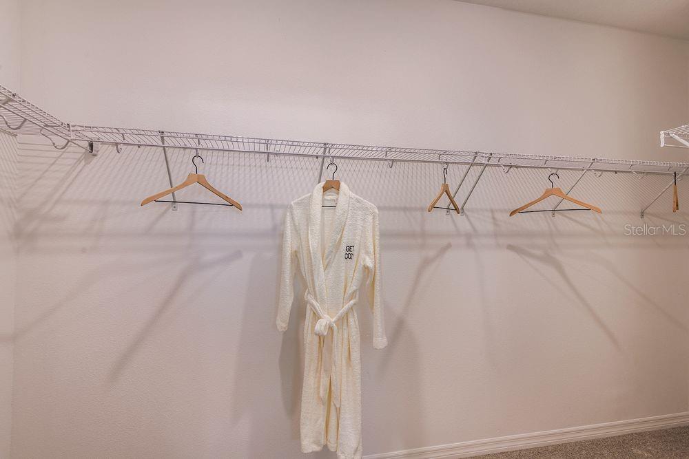 14744 FIELD DAISY DR, WINTER GARDEN, FL, 34787