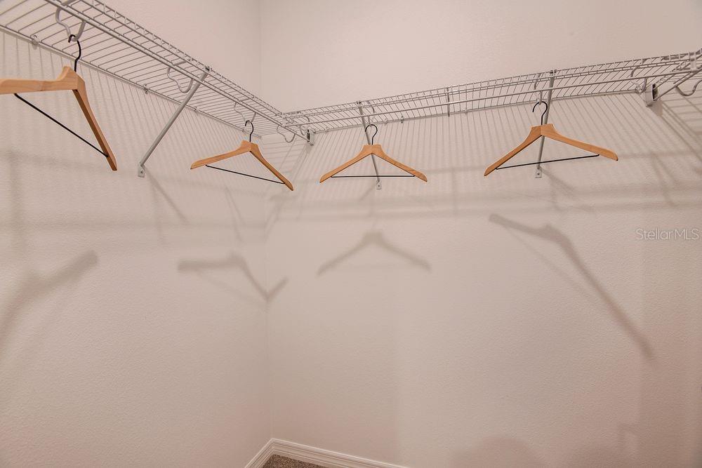 14744 FIELD DAISY DR, WINTER GARDEN, FL, 34787