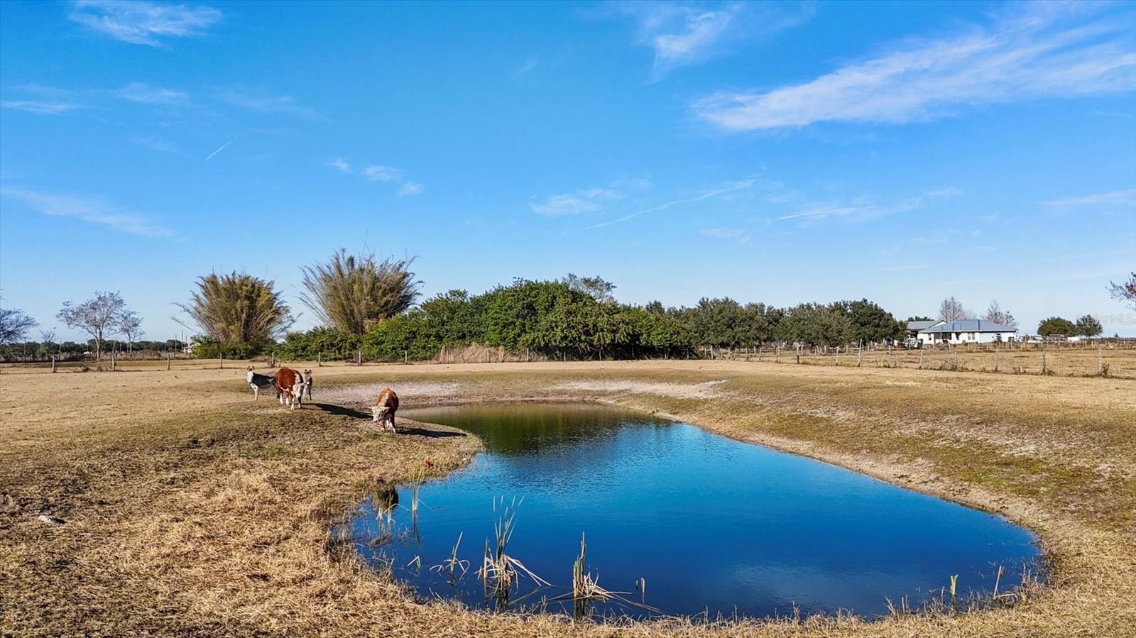 A4683096 Property Photo