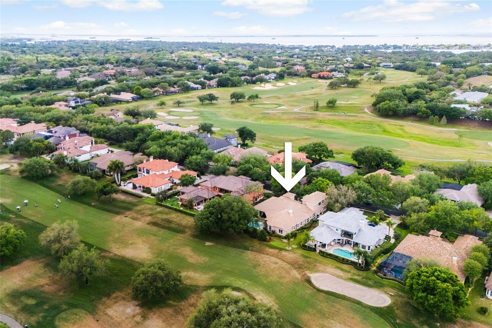 1368 PLAYMOOR DR, PALM HARBOR, FL, 34683