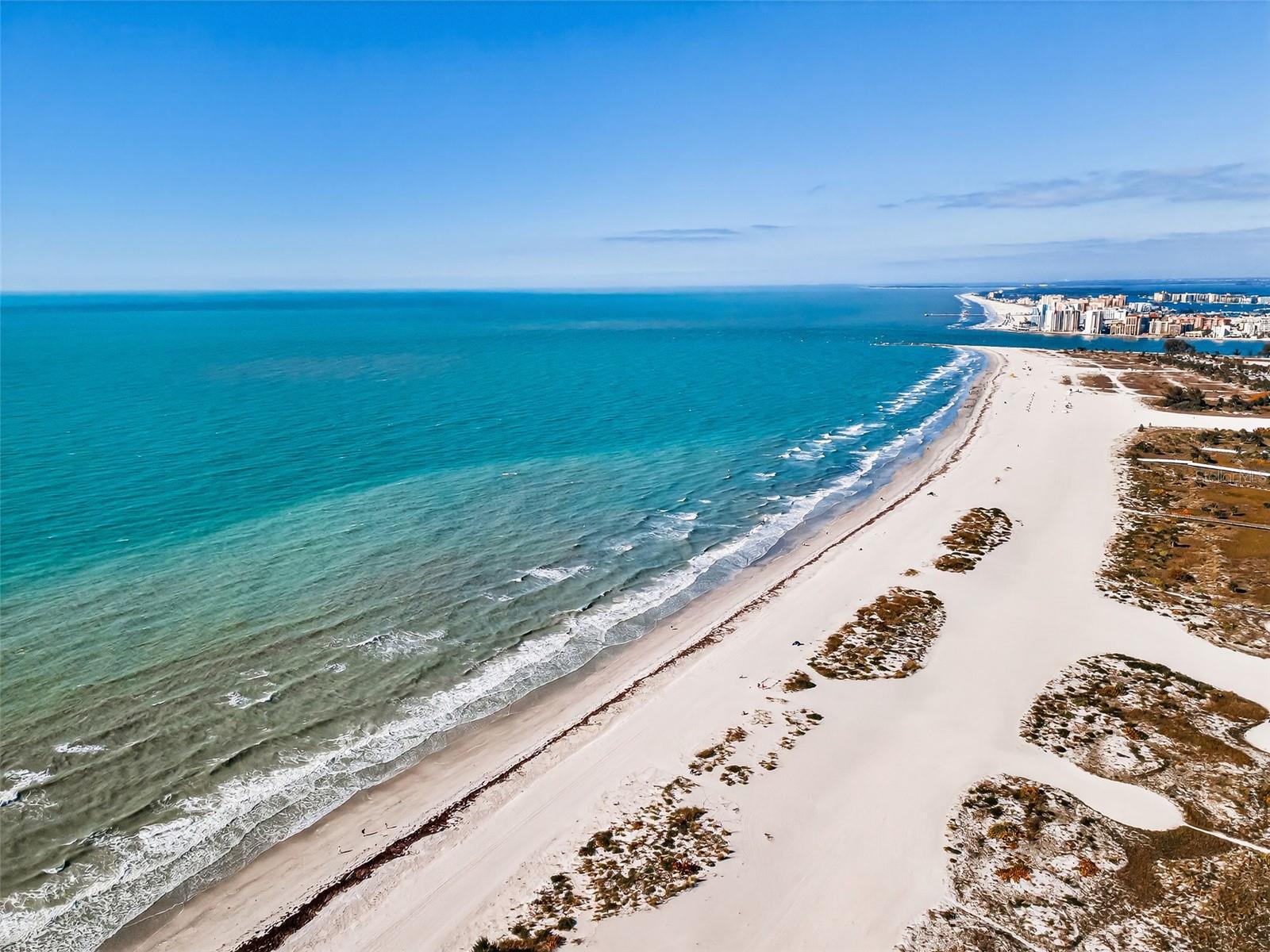 The wonderful Shoreline!