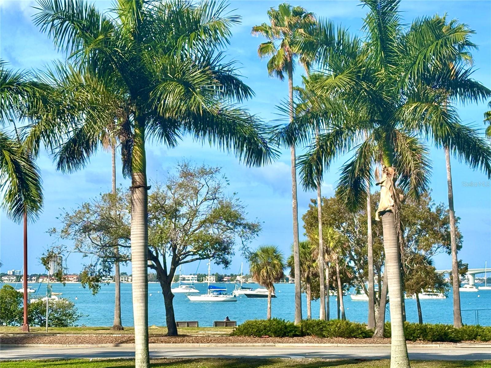 707 S GULFSTREAM AVE #307, SARASOTA, FL, 34236