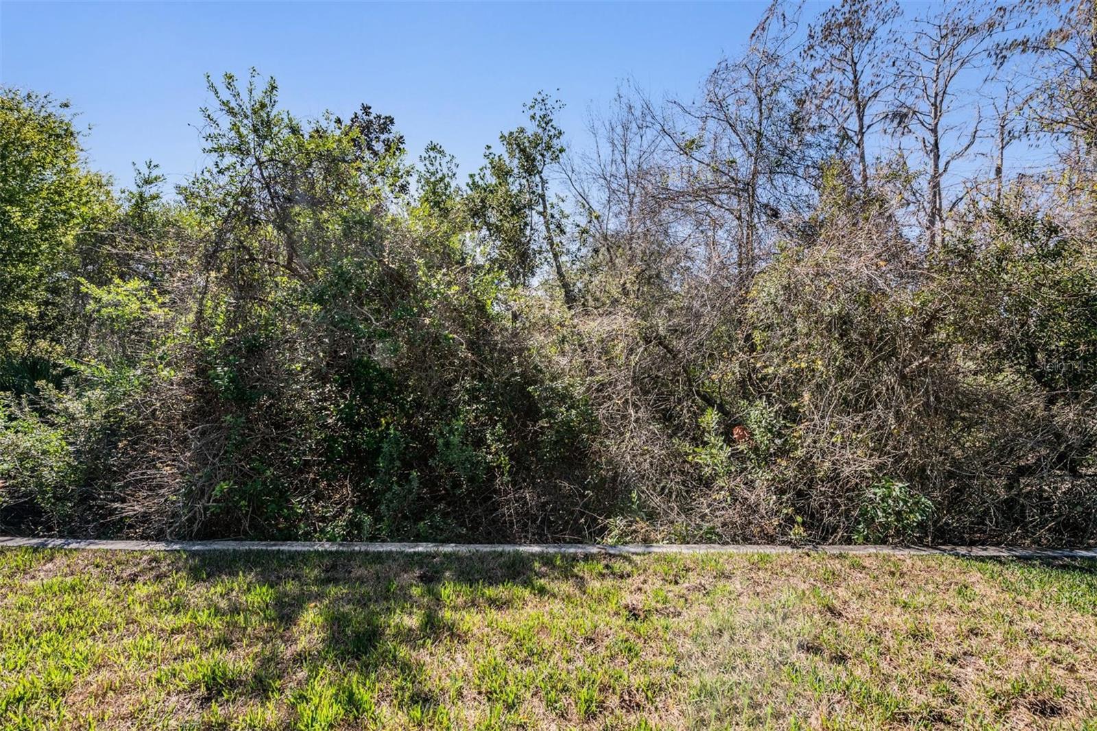 12902 TIKAL WAY, TRINITY, FL, 34655