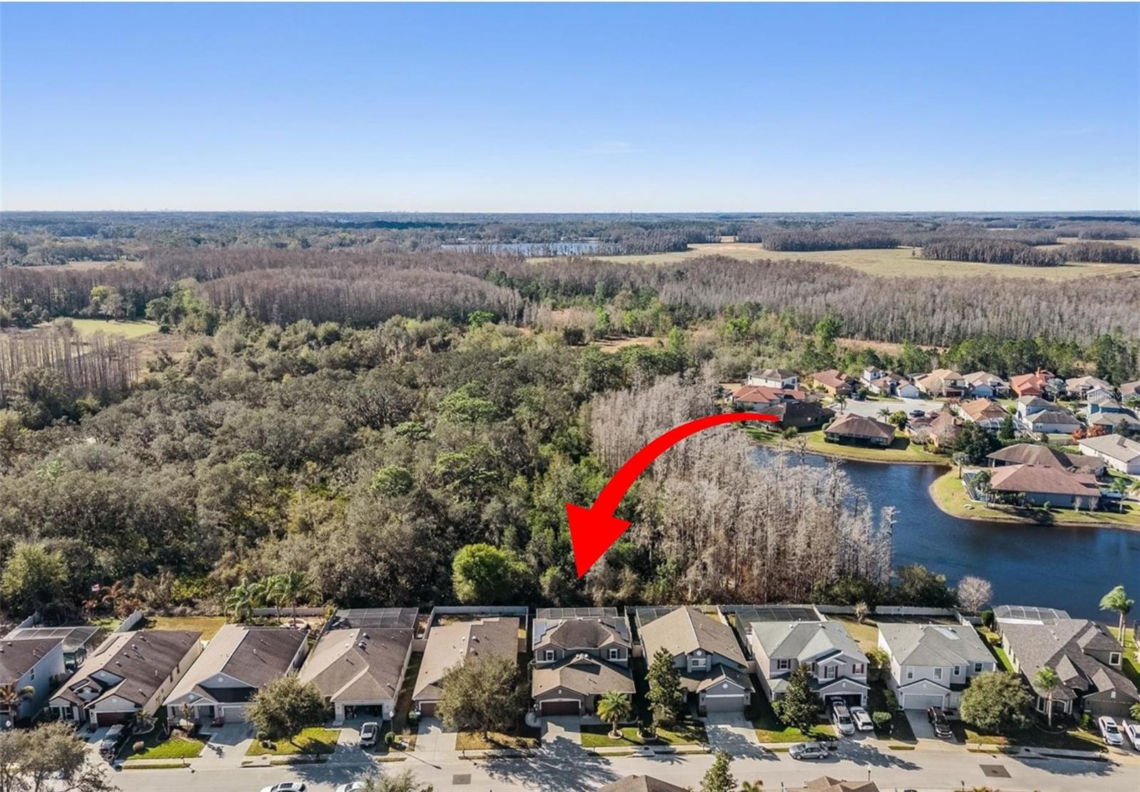 12902 TIKAL WAY, TRINITY, FL, 34655