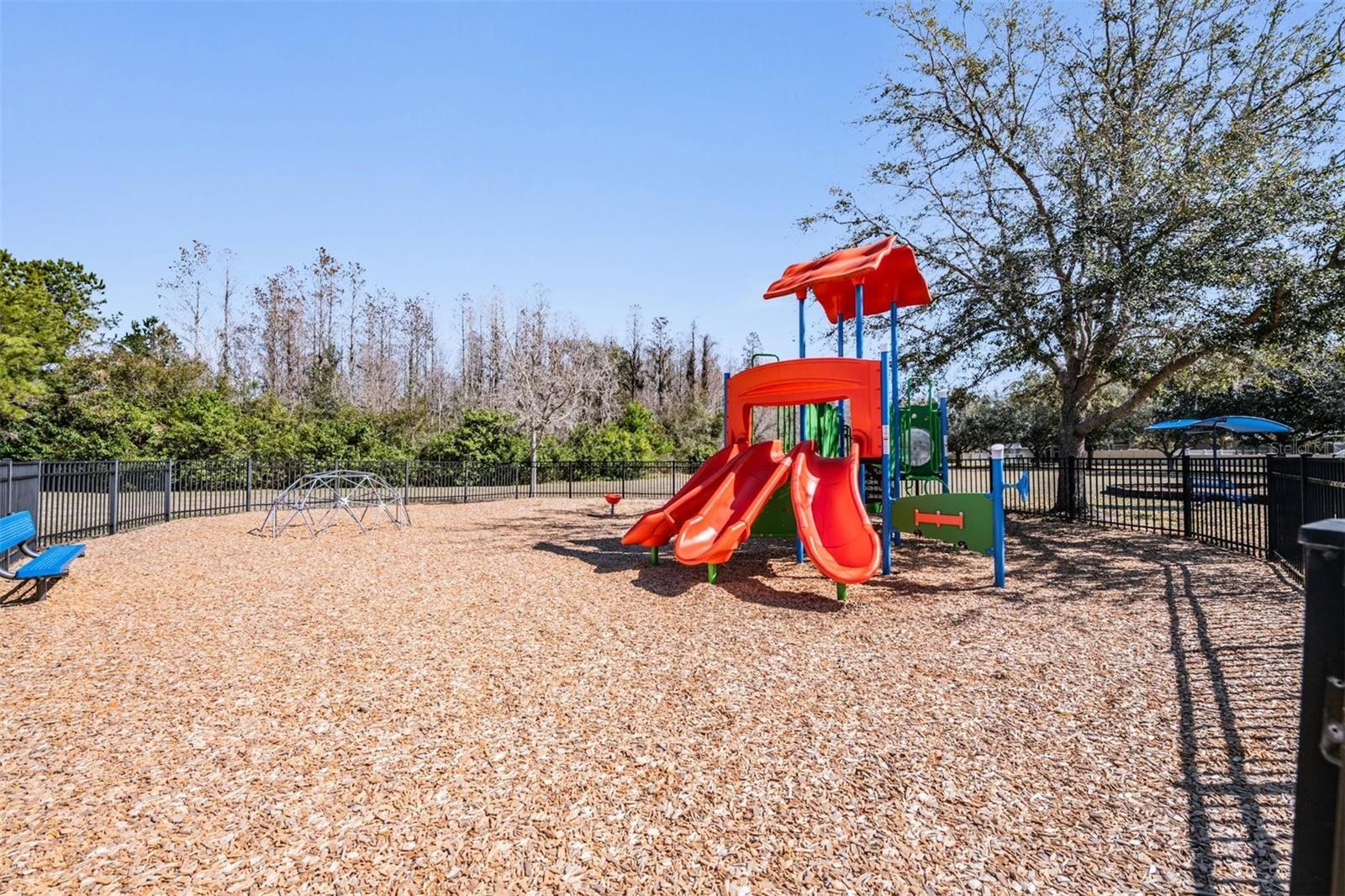 12902 TIKAL WAY, TRINITY, FL, 34655