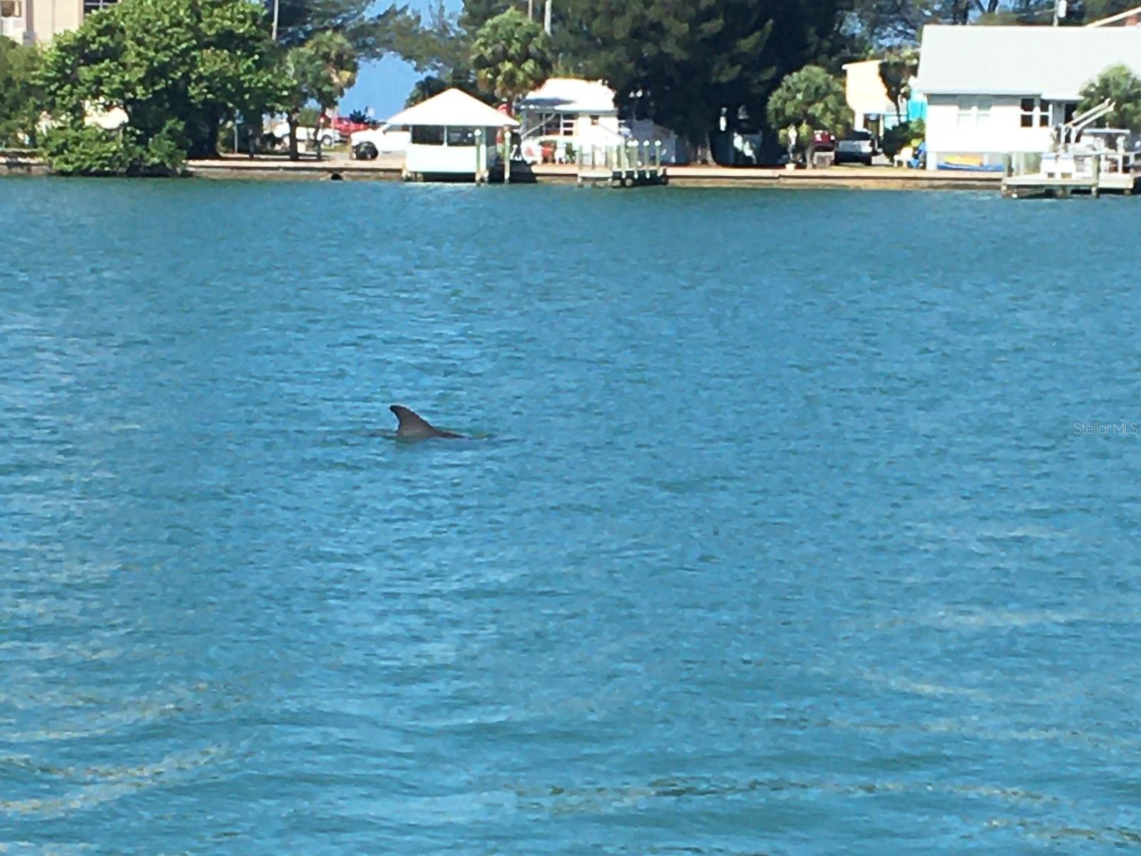 TB8478102 Property Photo