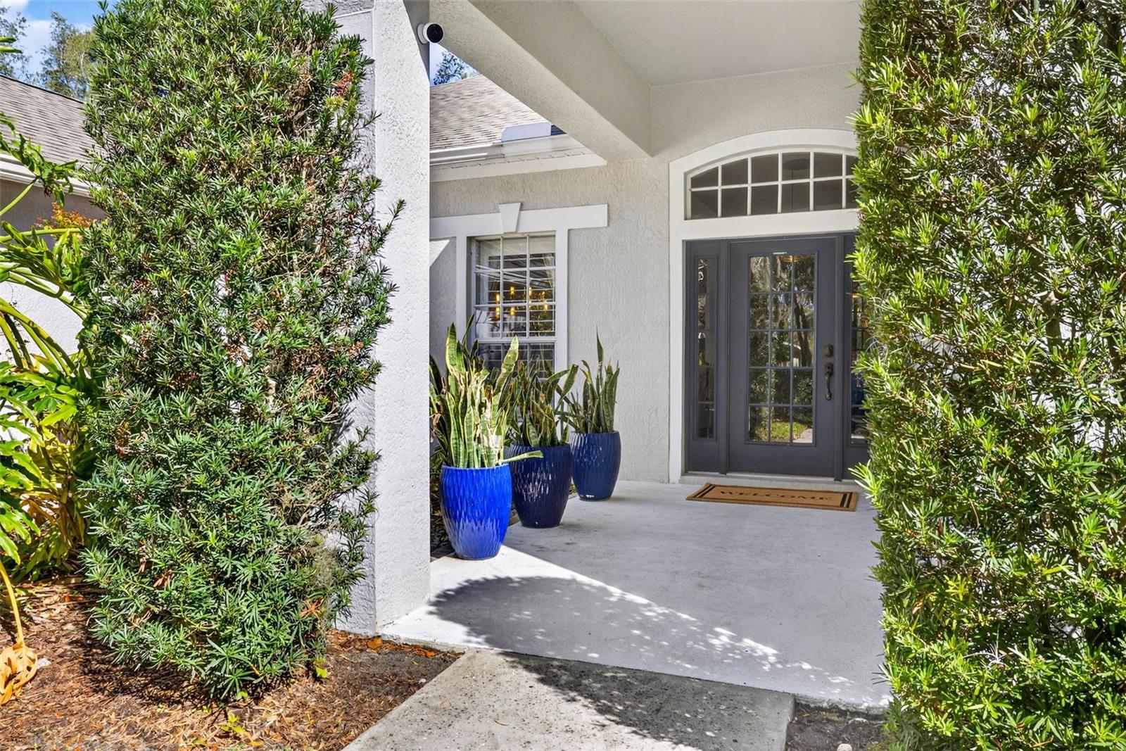 15036 EAGLERISE DR, LITHIA, FL, 33547