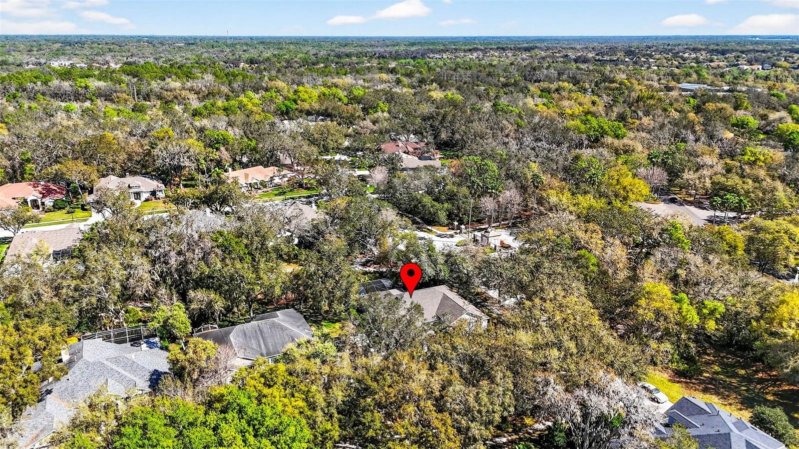 15036 EAGLERISE DR, LITHIA, FL, 33547