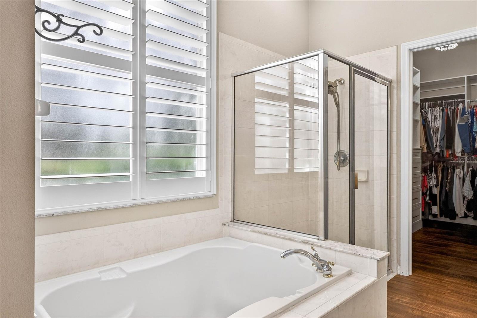 15036 EAGLERISE DR, LITHIA, FL, 33547