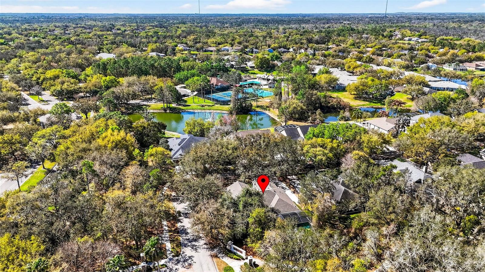15036 EAGLERISE DR, LITHIA, FL, 33547