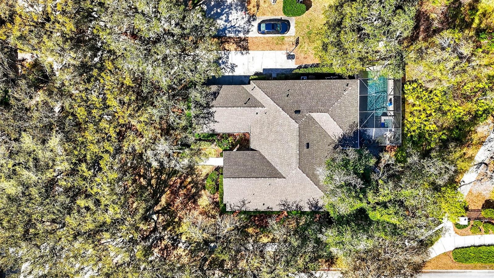 15036 EAGLERISE DR, LITHIA, FL, 33547