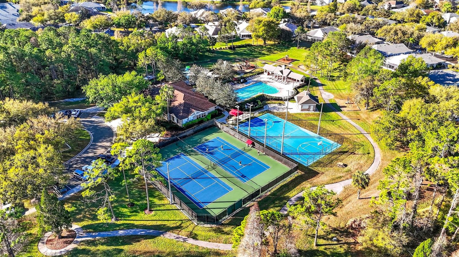 15036 EAGLERISE DR, LITHIA, FL, 33547