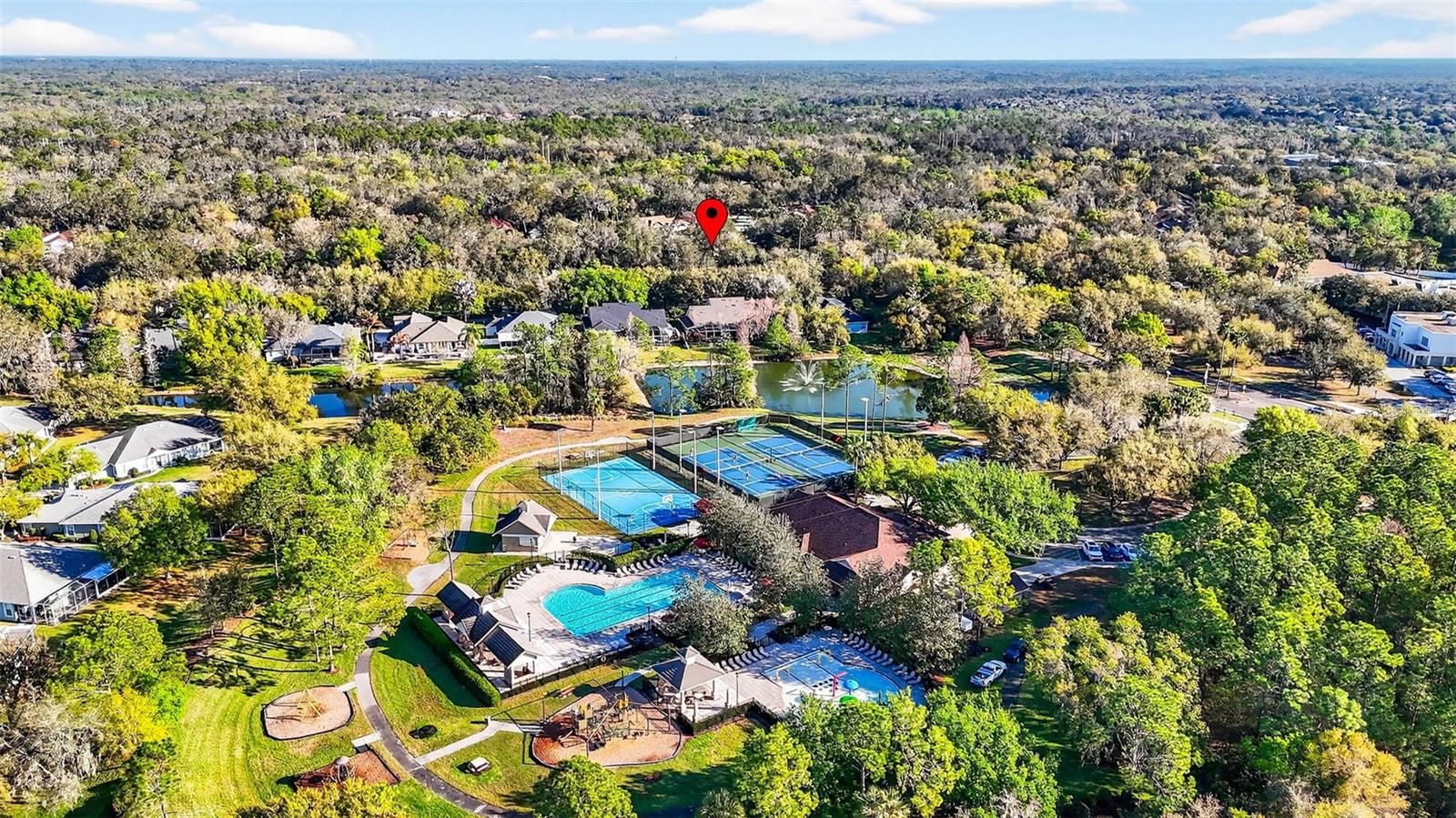 15036 EAGLERISE DR, LITHIA, FL, 33547