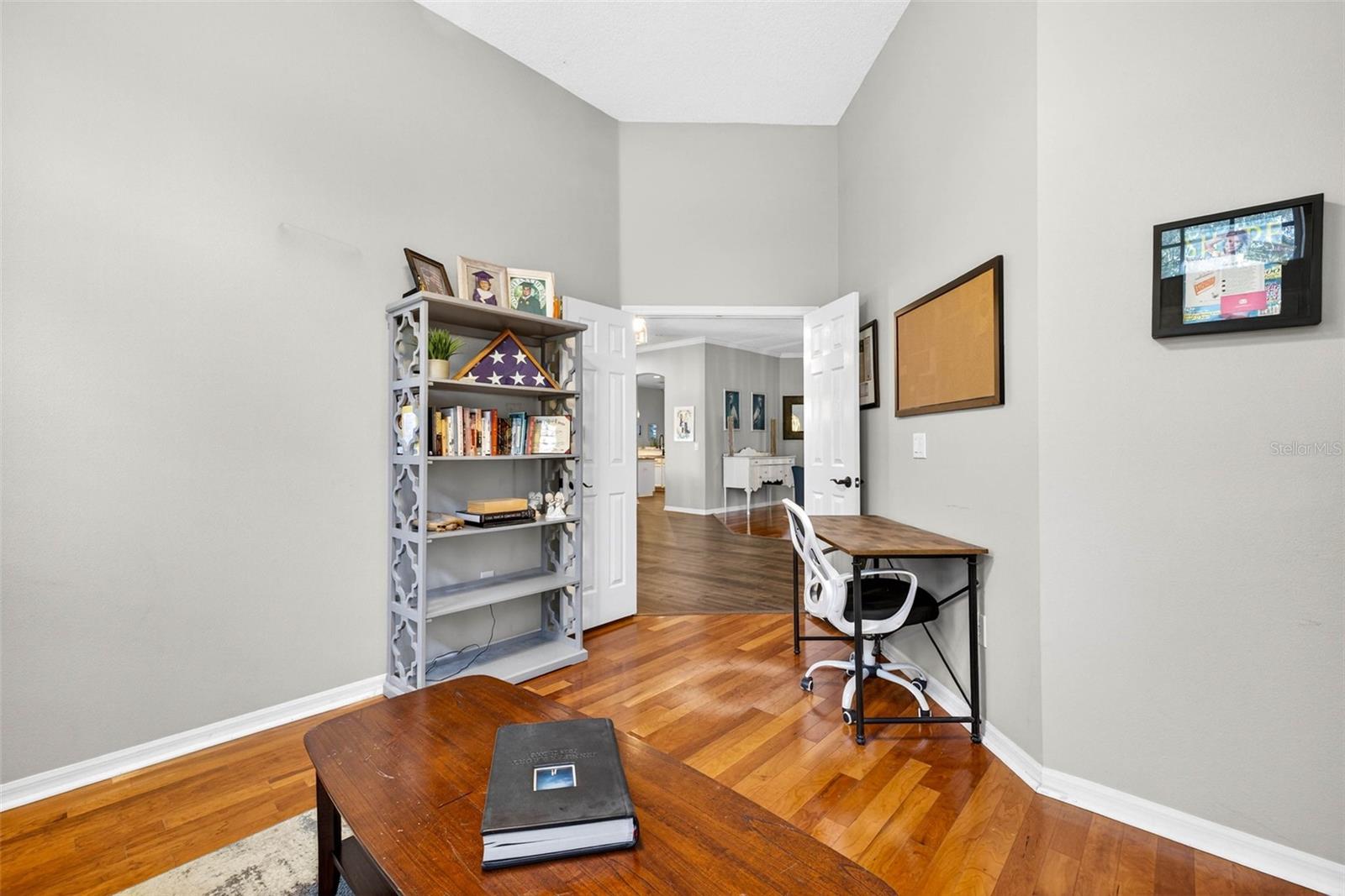 15036 EAGLERISE DR, LITHIA, FL, 33547