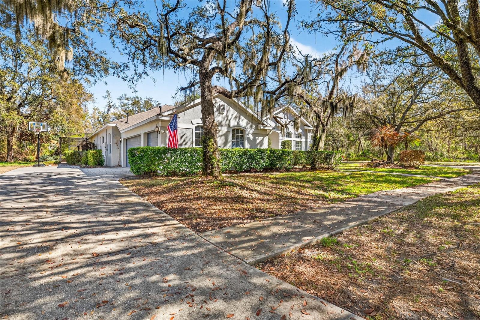 15036 EAGLERISE DR, LITHIA, FL, 33547