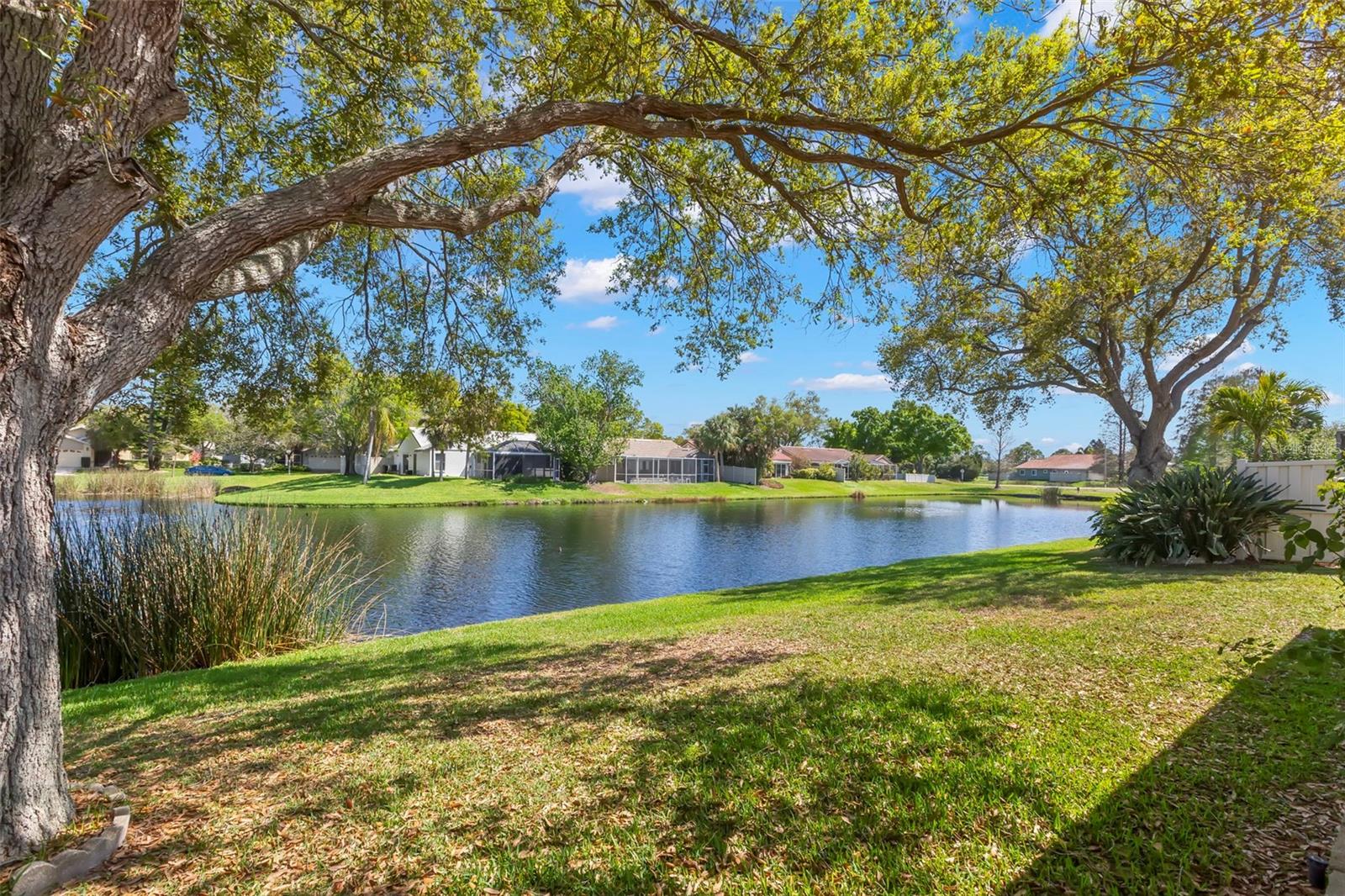 TB8478204 Property Photo