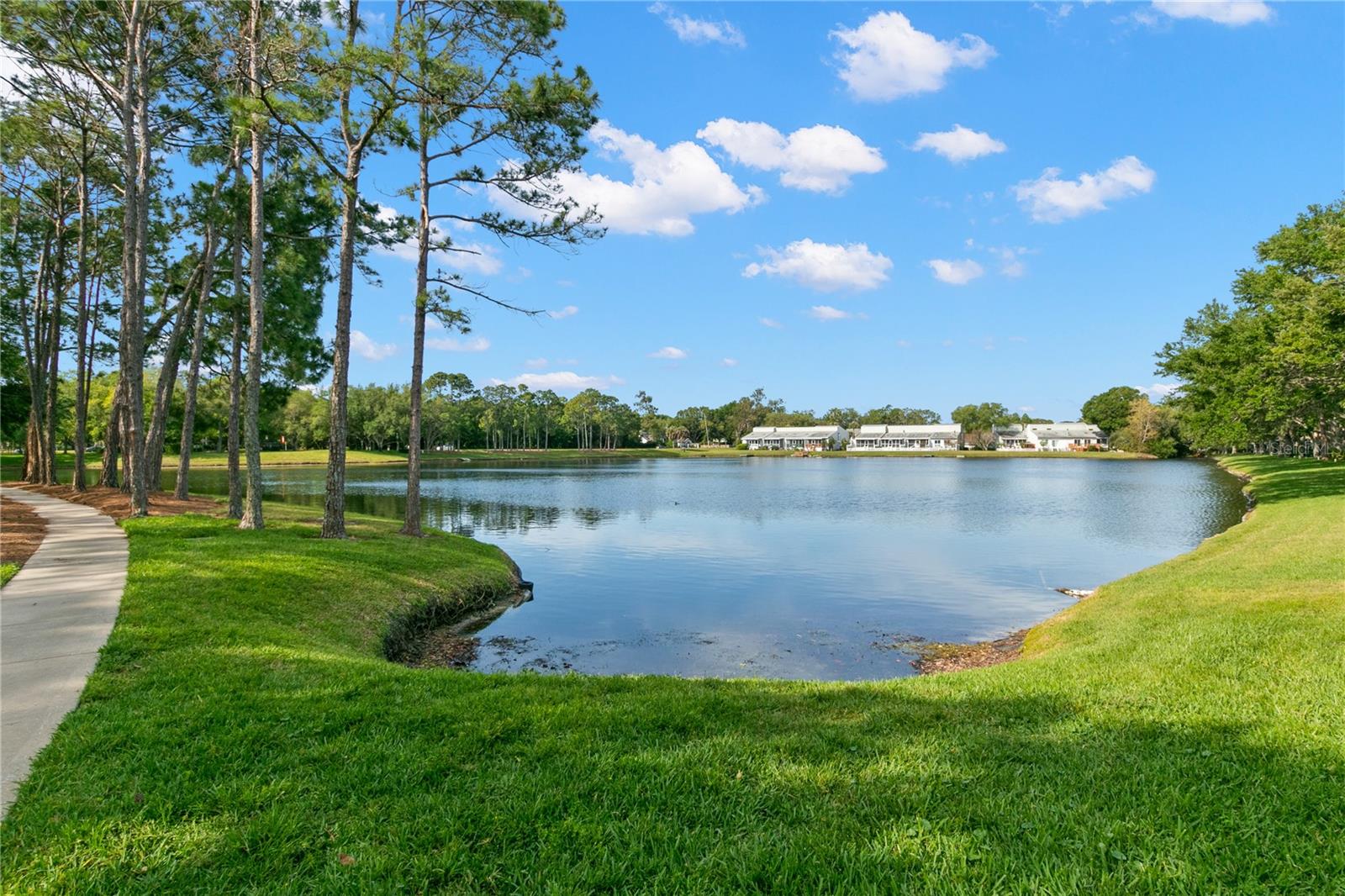3079 BRANCH DR, CLEARWATER, FL, 33760