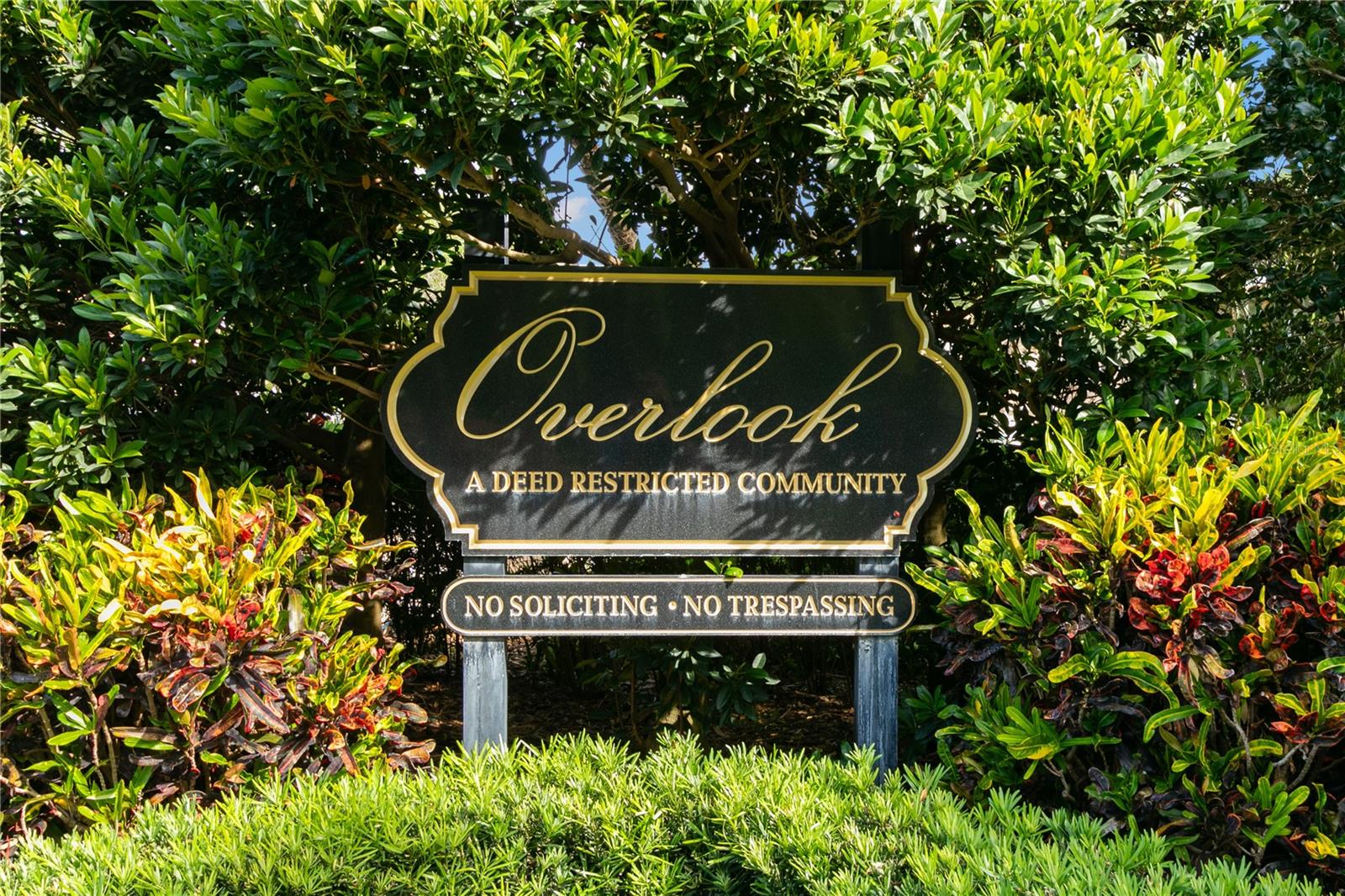 3079 BRANCH DR, CLEARWATER, FL, 33760