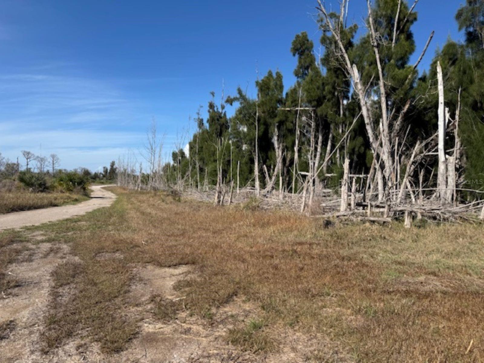 75 GREEN DOLPHIN DR N, PLACIDA, FL, 33946