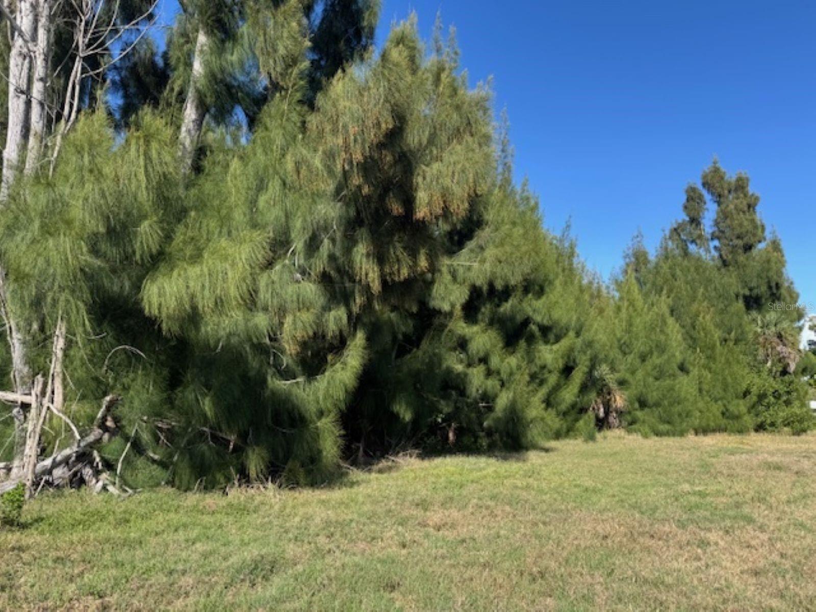 75 GREEN DOLPHIN DR N, PLACIDA, FL, 33946