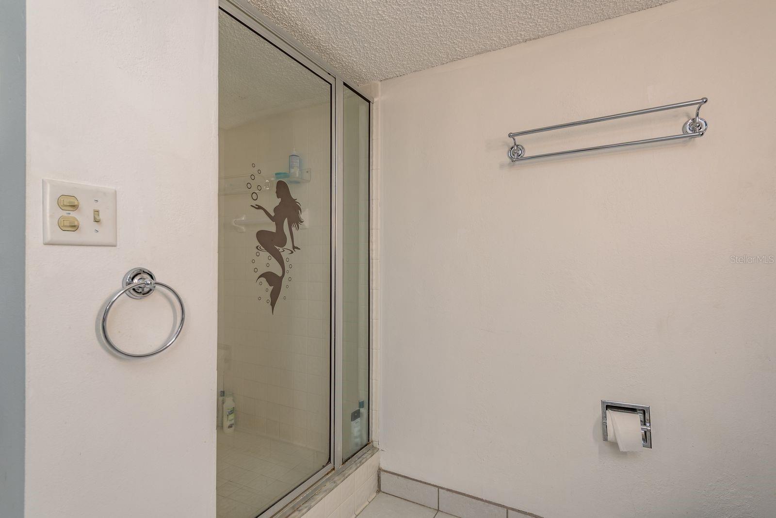 master bathroom shower