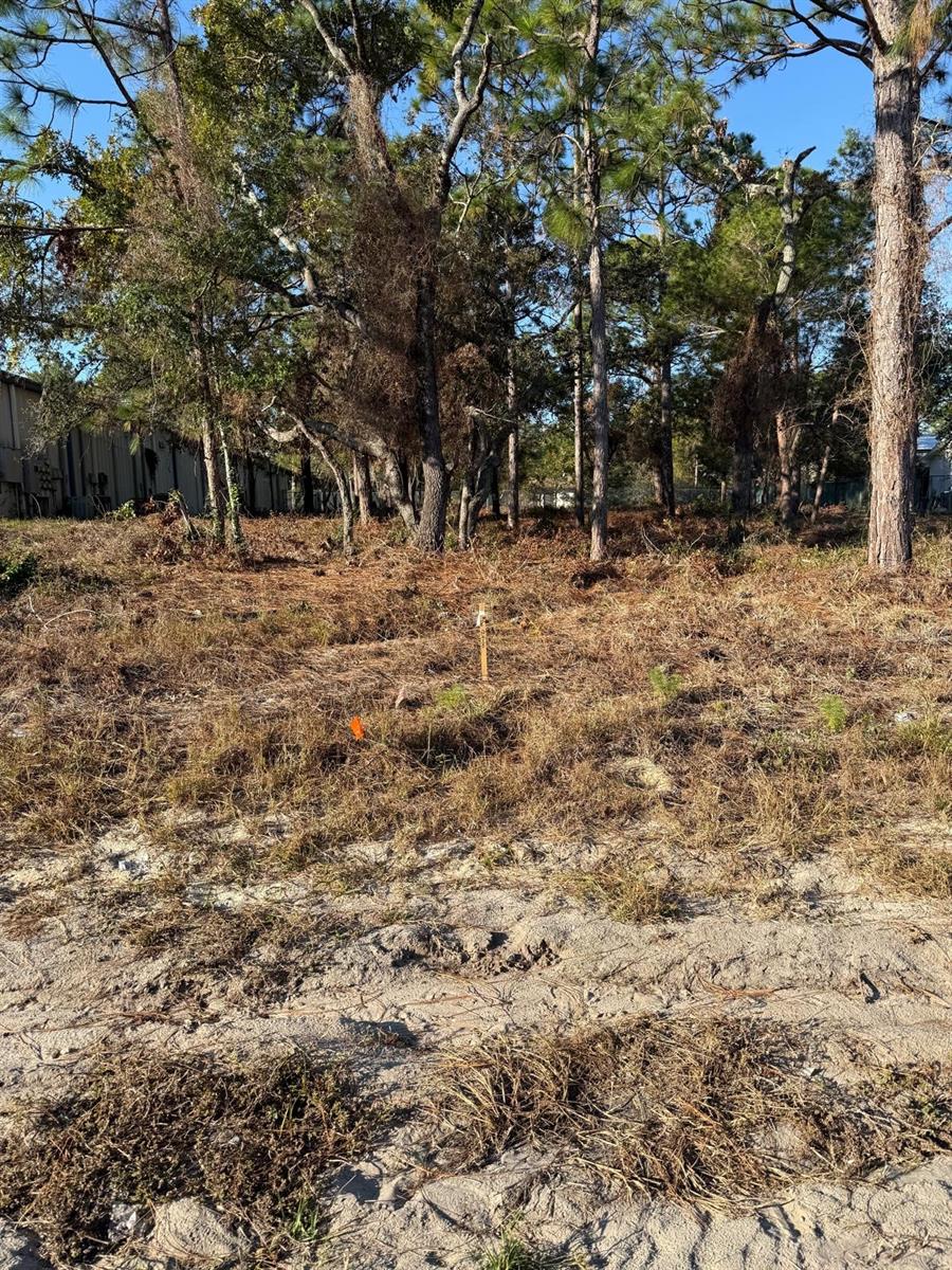 13786 LINDEN DR, SPRING HILL, FL, 34609