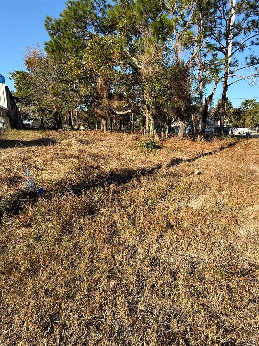 13786 LINDEN DR, SPRING HILL, FL, 34609