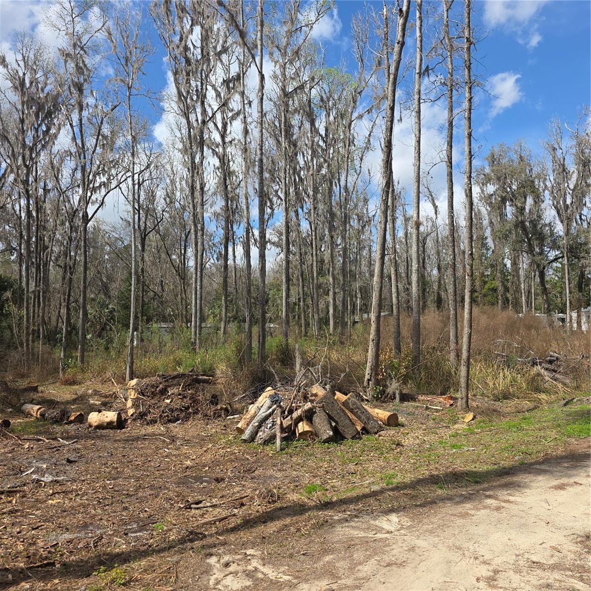 SW 11TH STREET RD, OCALA, FL, 34481