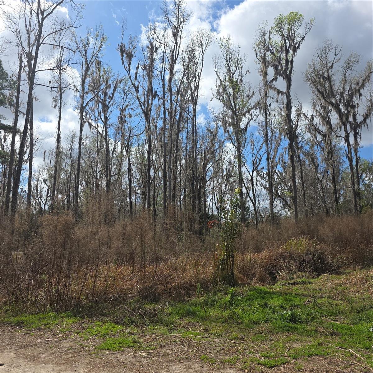 SW 11TH STREET RD, OCALA, FL, 34481