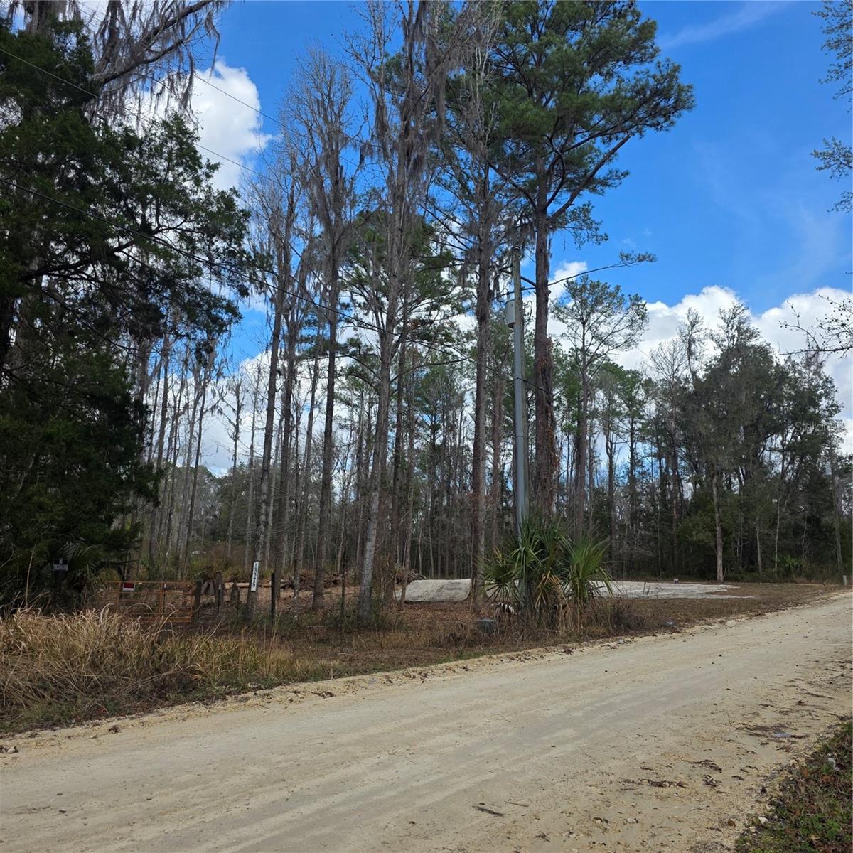 SW 11TH STREET RD, OCALA, FL, 34481