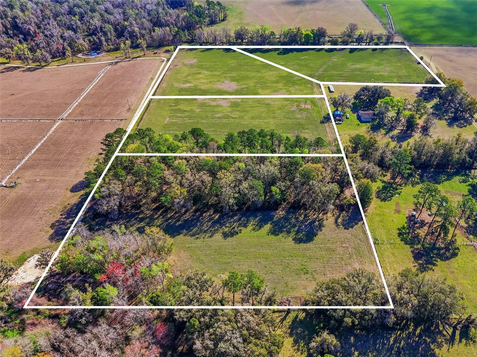 TBD NW COUNTY ROAD 239, ALACHUA, FL, 32615