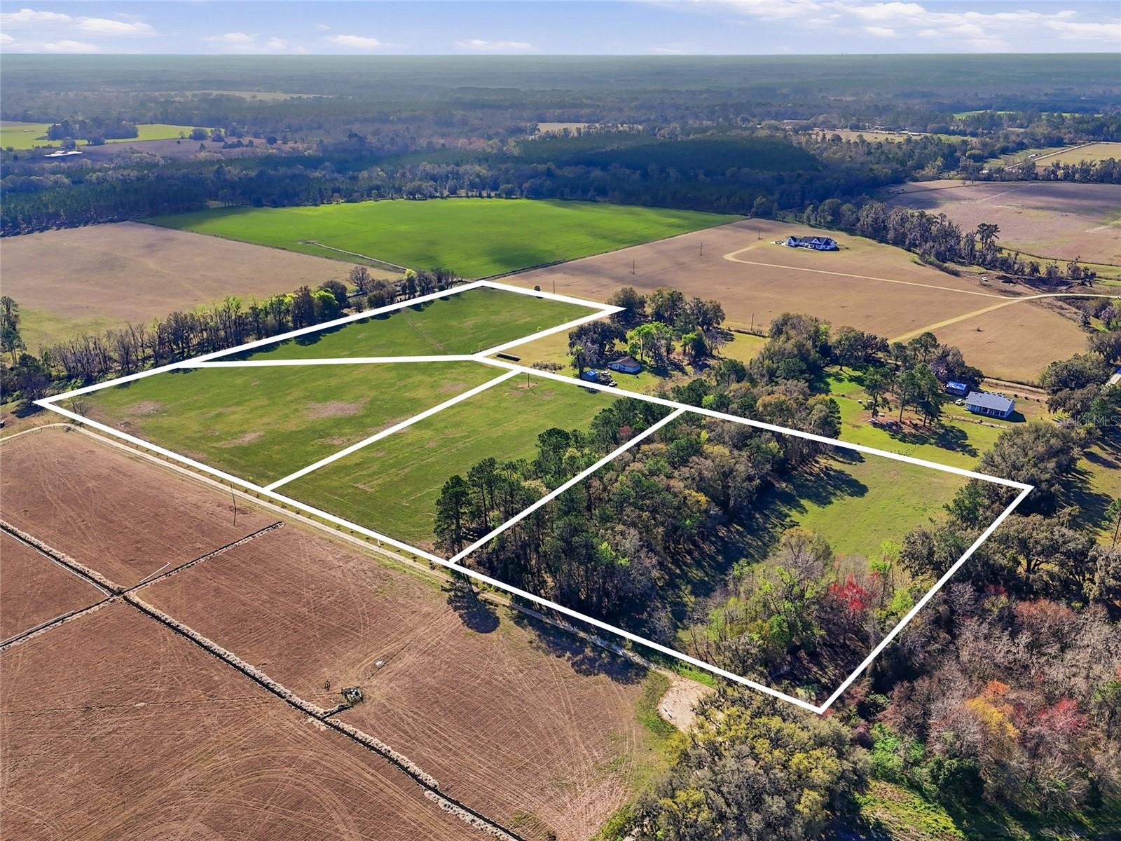 TBD NW COUNTY ROAD 239, ALACHUA, FL, 32615