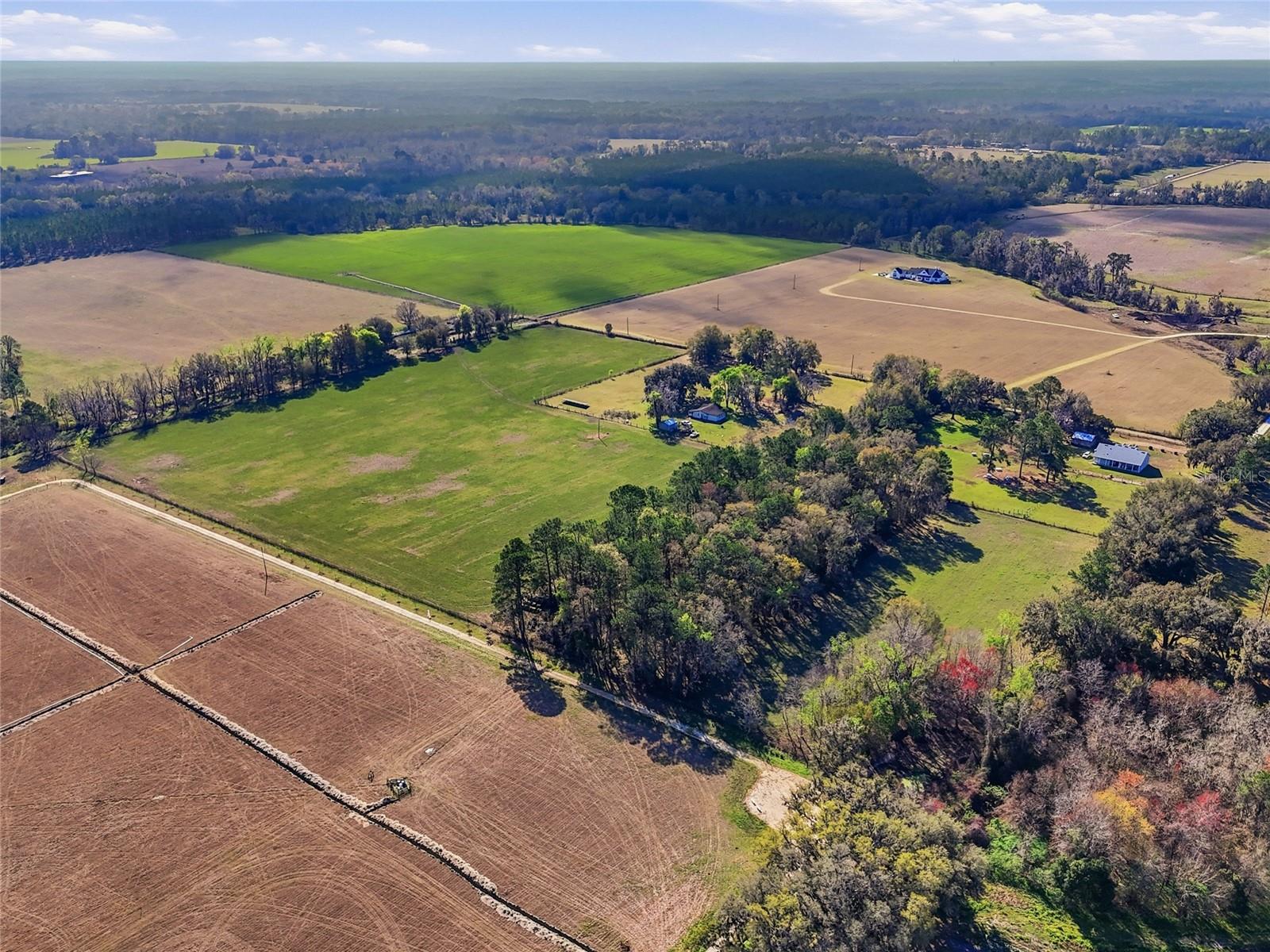 TBD NW COUNTY ROAD 239, ALACHUA, FL, 32615