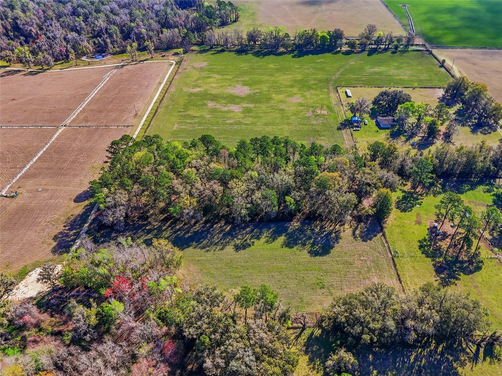 TBD NW COUNTY ROAD 239, ALACHUA, FL, 32615